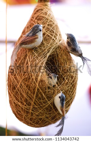 Hanging Nest of Baya weaver Bird which is found in Indian Subcontinent and Southeast Asia. they are best known for their hanging retort shaped nests woven from leaves