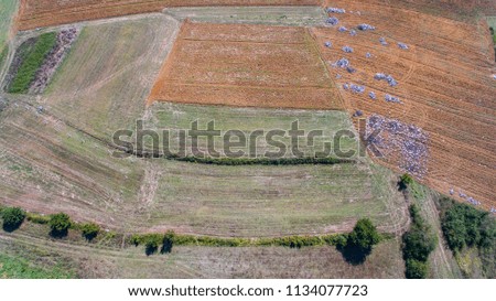 Aerial Drone View Of Green Agricultural Parcel Fields