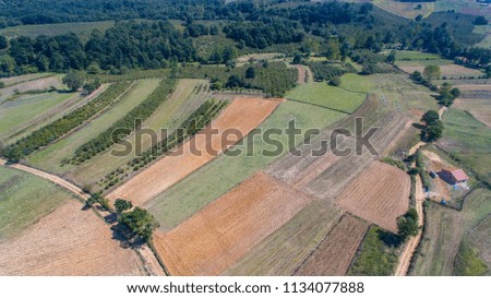 Aerial Drone View Of Green Agricultural Parcel Fields