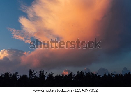 Beautiful sunset over the forest with golden clouds.