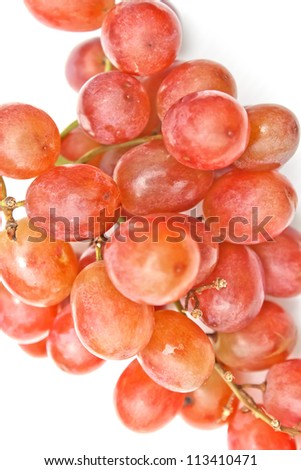 grape in rain season