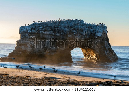 The Natural Bridge at Santa Cruz, California