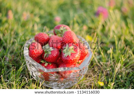 Strawberries in a bowl of glass in the grass.