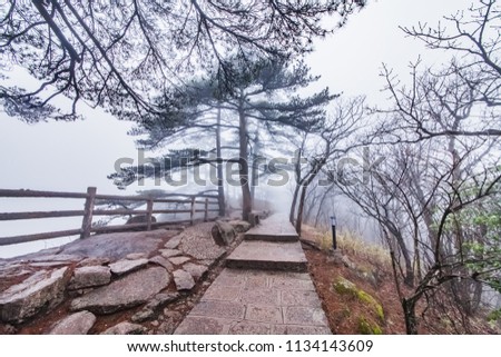 Landscape of woods walking path in Huangshan Scenic Area, Huangshan City, Anhui Province