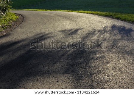 small road at forest with sun beams on summer evening in south germany bavaria allgau