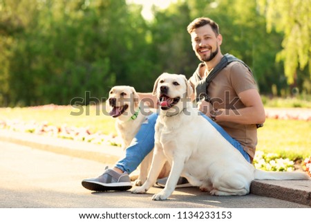 Cute yellow labrador retrievers with owner outdoors