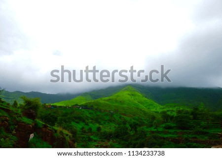 Green landscape surrounded by hills in monsoon season 