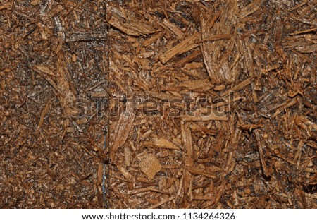 Close up of old scrap wood texture background