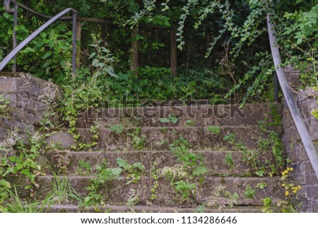 An old stone stair with railing surrounded with vegetation