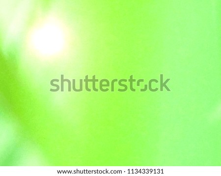 Green and yellow light bokeh blurred from tree backgrounds