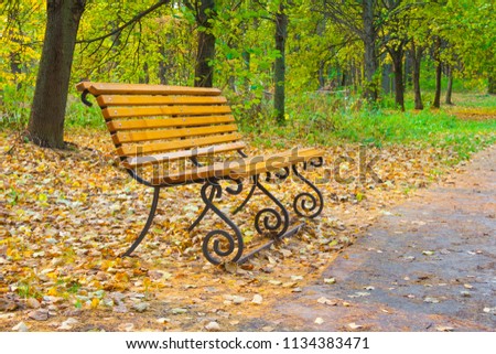 wooden bench in an autumn park