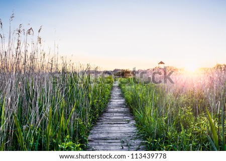 Peaceful sunset with a wooden walkway Royalty-Free Stock Photo #113439778