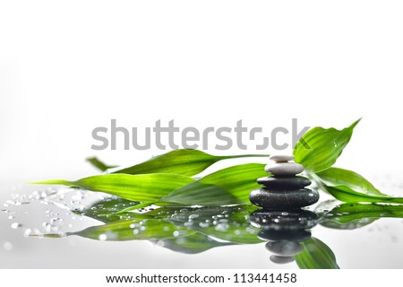 background of a spa with stones, and a sprig of green bamboo