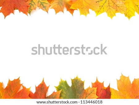Autumn maple leaves frame Royalty-Free Stock Photo #113446018