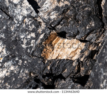 Golden minerals in a rock 