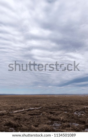 Threatening clouds over a flooded coastline at Fundy National park, New Brundwick, Canada