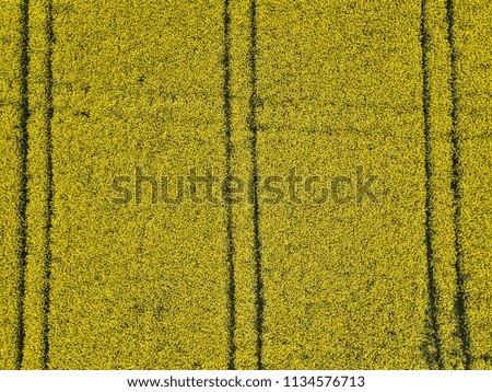 yellow grain field from the air photographs