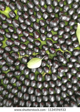 Jamun Berry For Sale