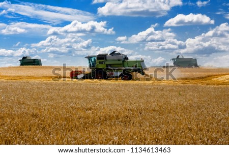 Harvesters work in the wheat harvesting field in Ukraine