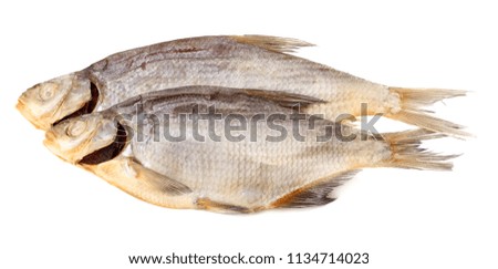 dried fish isolated on white background. Beer brewery concept. Beer background