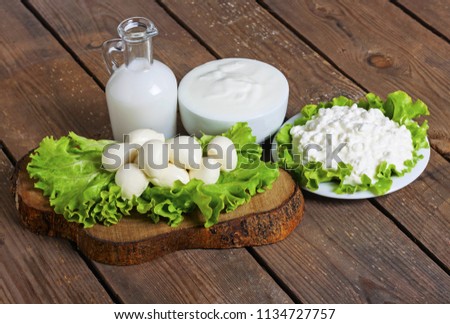 milk, yogurt, mozzarella and cheese with background - lactose free food Royalty-Free Stock Photo #1134727757