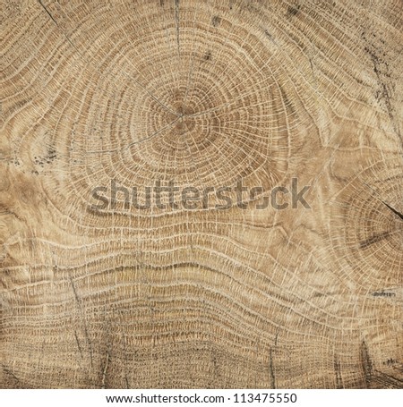 Texture of old wood Royalty-Free Stock Photo #113475550