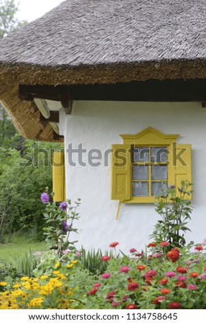 
Ukrainian hut old house with a roof of straw and wooden windows in the yard flowers house made of clay old in the village of vintage
