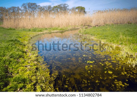 Authentic natural landscape, clouds in the sky touch the horizon, among the grass and reeds flowing small but wide creek.A beautiful view of the nature of the South of Russia in a tinted photo.
