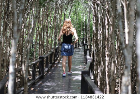 a traveler woman walking in mangrove forest park