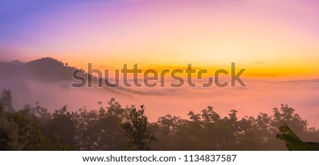 mist above the mountain in tropical rainforest and beautiful sunrise scenery view in Phang Nga valley