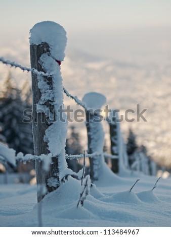 Snow covered fence poles
