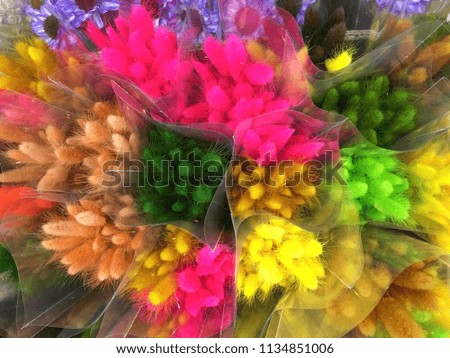 Different dried colorful flowers in shop
