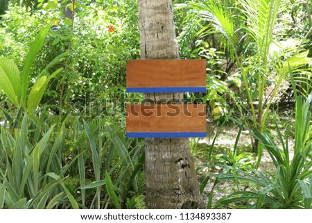 Wooden signs hanging on coconut tree.
