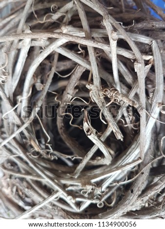 Birth Nests stikcs