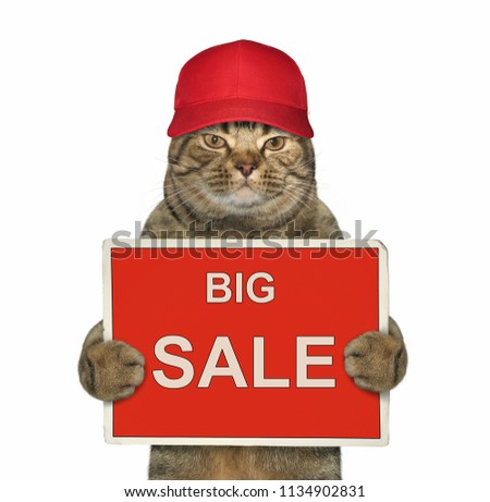The cat in a red cap is holding a sign " big sale ". White background.