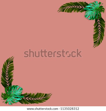 Green palm leaves pattern for nature concept,tropical leaf on pink background