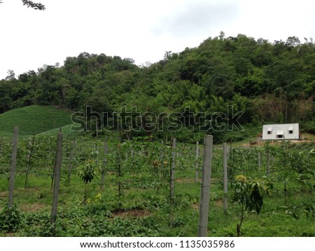 integrated pest management system applied at farm Royalty-Free Stock Photo #1135035986