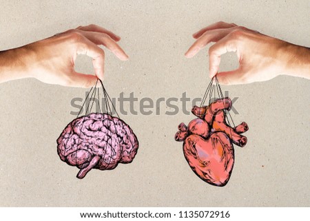 balance your life, logic and feel concept with heart and brain in hands. Royalty-Free Stock Photo #1135072916