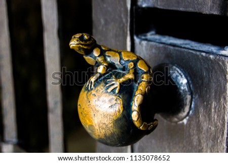 Beautiful old metal or iron door knob decorated with a fire salamander to a cellar or a vault. That design detail gives it a unique and special appearence to  mysterious insides after the entrance.