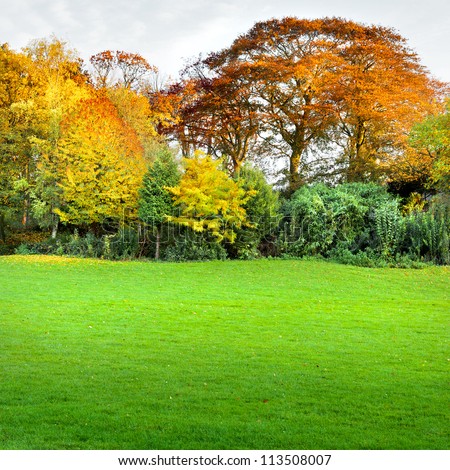 Autumn landscape with trees and lawn in the foreground. The autumn forest.