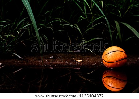 Reflection of Miniature toy basketball on natural background