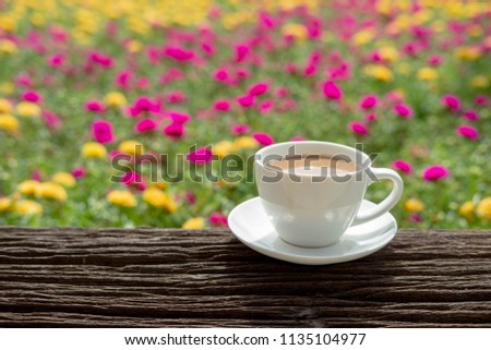 white ceramic coffee cup in the nature, on wood material.