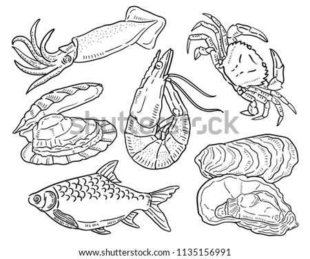 Hand drawn illustration of Seafood.