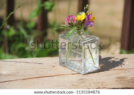Still life of sunny summer day: small transparent rectangular glass vase (perfumery) with cold water and bouquet of forest flowers (lilac bell, blue clover, yellow Trollius), green leave. Wooden stand