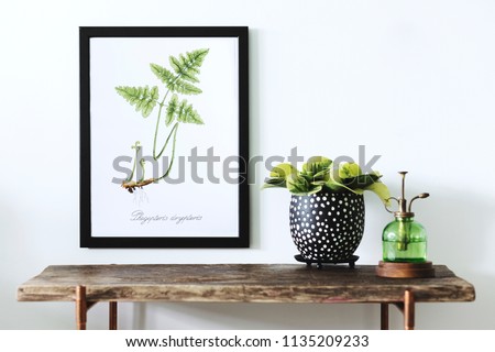 Stylish white room with wooden console, mock up poster frame, beautiful plants and sprinkler. Modern composition of home garden  interior. 
