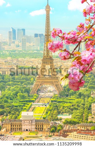 Cherry blossom branch in foreground and cityscape skyline of Paris with Eiffel Tower on background. Seasonal picturesque background. Scenic wallpaper with Eiffel Tower. Vertical shot.