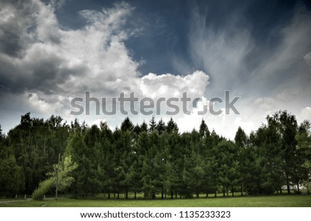 Spring green landscape with blue sky and couds. spruce or fir forest and green grass.