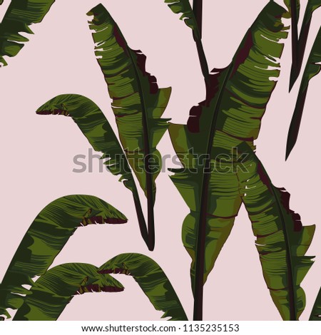 Tropic summer painting seamless vector pattern with palm banana leaf and plants. Trendy bunch exotic wallpaper on pink background. Vintage colors.