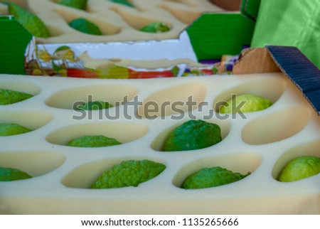 Etrog (yellow citron) is on sale at a four species market for the Jewish holiday of Sukkot. The Four Species are waved together along with special blessings during Sukkot.Selective focus.