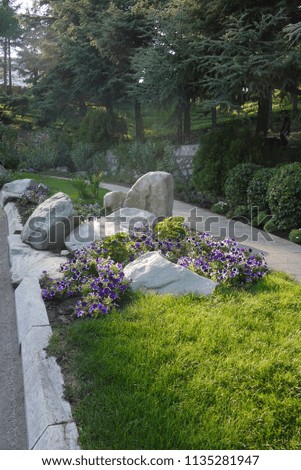flower bed with stones and blue petunia along the pedestrian walkway in the park